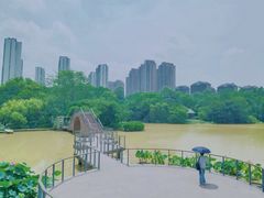 -金山公园