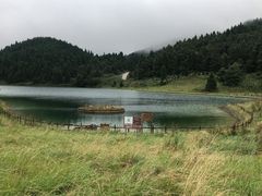 -武陵山森林公园