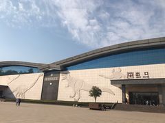 -中国西峡恐龙遗迹园