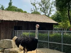 -上方山森林动物世界