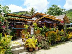 -Jungle Kitchen