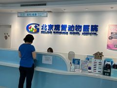 -北京观赏动物医院·24小时大型综合·猫专科·异宠专科