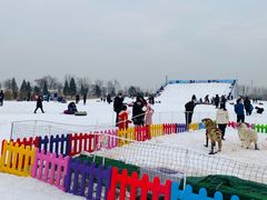 -绿野森林乐园冰雪季