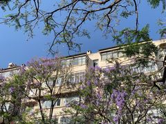 -云南师范大学(一二一西南联大校区)