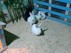 -常州海昌海洋探索馆