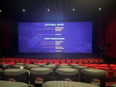 -万达影城(闵行颛桥万达广场杜比影院店)