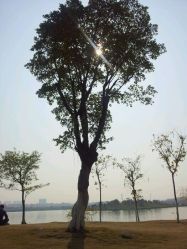 android_upload_pic-云湖游乐园