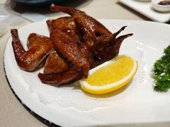 尚品嫩汁乳鸽-尚一汤·粤菜海鲜(环球港店)