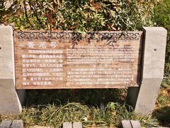 -台儿庄古城