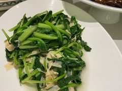 -蝶园·装修中(BFC外滩金融中心店)