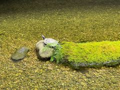 -几荷·恰似故人来(秀水广场店)
