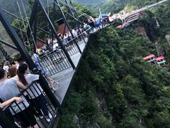 -梦幻奥陶纪景区