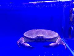 -港迹·鲜围煮海鲜火锅(湖州时代广场店)