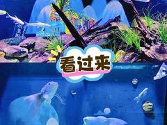 -重庆欢乐海底世界