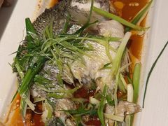 -至潮餐厅精致粤菜·活鲈鱼·走地鸡(珠江新城店)