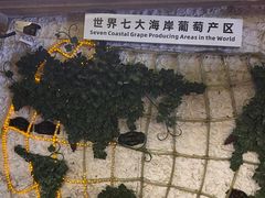 -青岛葡萄酒博物馆