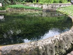 -成都市活水公园