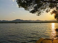 -西湖外事游船(花港观鱼码头)