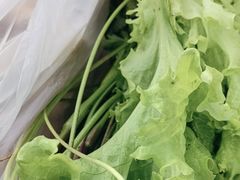 -大自然农场蔬菜草莓采摘园