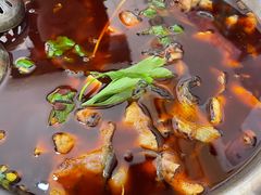 -云溪河冷锅鱼(成都玉林小吃街店)