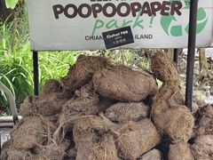 -大象粑粑造纸公园