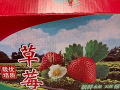-小鱼草莓采摘园农家乐·小鱼餐厅