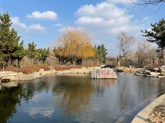 -羊亭河湿地公园