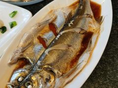 白水鱼-锦园餐厅(九龙湖开元度假村店)