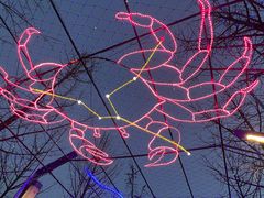 -南宫五洲植物乐园