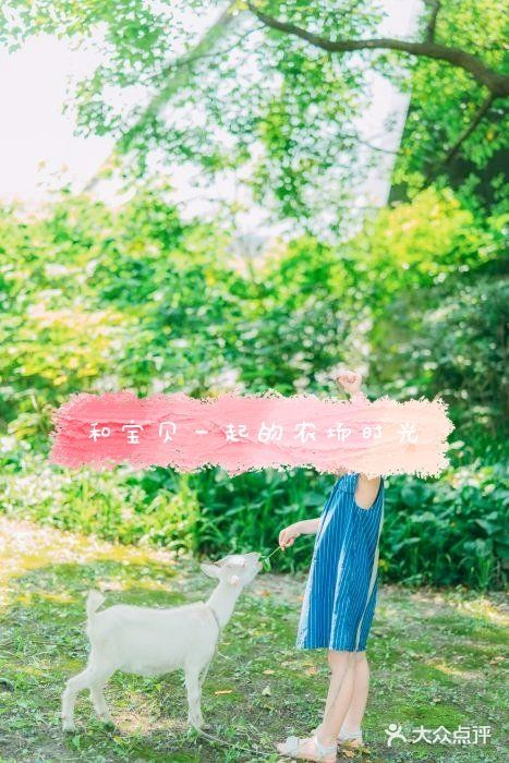 上海一家高大上的开心农场