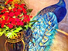 -弦月窗LUNETTE BY AMANDA(复兴路店)