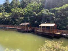 -仙居谷风景区