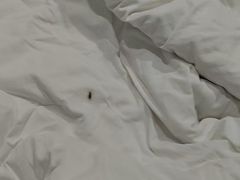 -鑫雅居公寓(广州南站地铁站店)