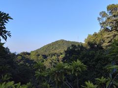 景点-广州市帽峰山景区