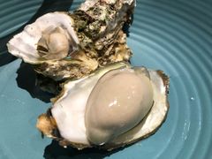 -海食焗(新光天地店)