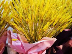 -双季花艺园艺市场(浦东店)