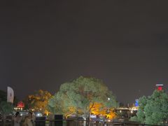 -秋水广场音乐喷泉