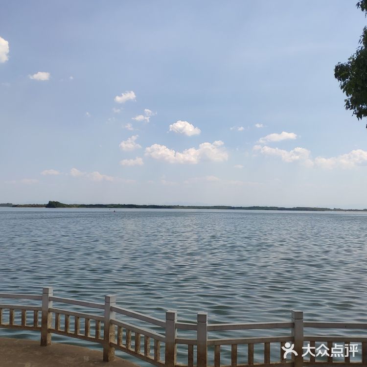 探店梁子湖龙湾度假村|小马代不是谁都可以叫的