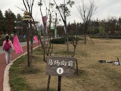 -上海长兴岛郊野公园