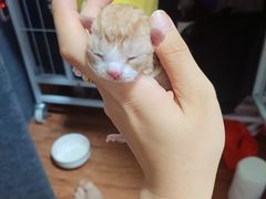 -刘家窑(地铁站)