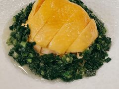 葱油本地鸡-上海总会SHANGHAICLUB(兴业太古汇店)