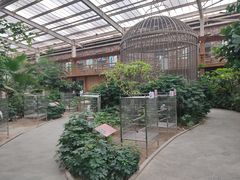 -南宫五洲植物乐园