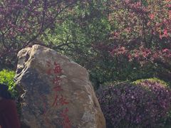 -沈阳植物园