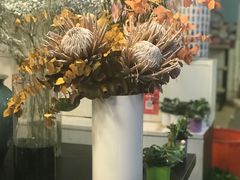 -双季花艺园艺市场(浦东店)
