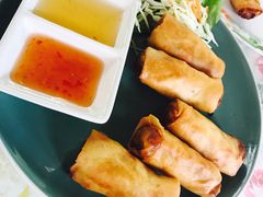 -Jungle Kitchen
