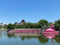 -莲花池公园
