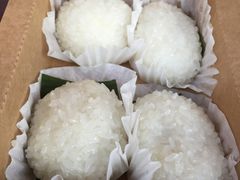 茨毛圆子-双塔老饭店
