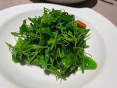 呛拌辣木菜-荣轩(新荣记环球金融中心店)