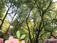 -石峰公园