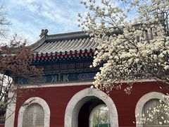 -北京艺术博物馆(万寿寺)
